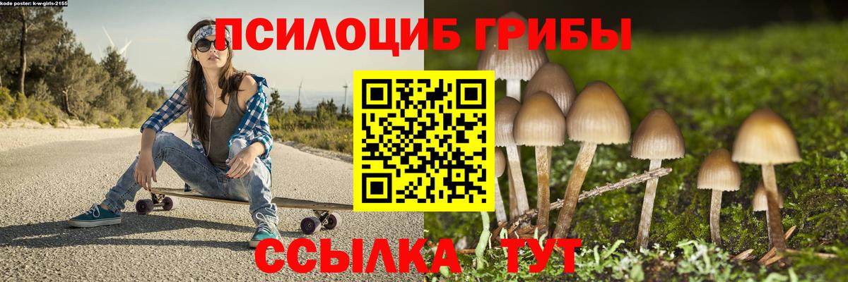 Псилоцибиновые грибы мухоморы  Псилоцибиновые грибы Cubensis  Электрогорск  Вход с VPN 